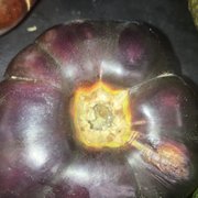 An even more rotten tomato
