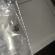Dead black widow that I killed.