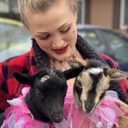 Goat gram snuggles on Valentine's Day.
