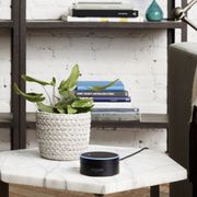 Gallery image #6
