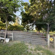 Shady Arena