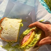 a person holding a sandwich