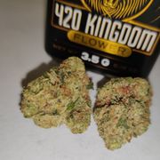420Kingdom - Alien OG