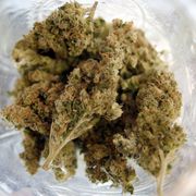 Fire Pharmaceuticals is a premium Medical Marijuana Dispensary that offers delivery service, we are dedicated to providing it...