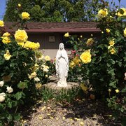 Mary's Garden