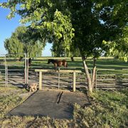 Hitching post with Shady pasture