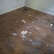 Gallery image #5