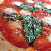 Margherita Pizza