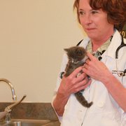 Dr. Colleran