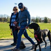 Debra & Dharma a Great Dane