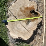 Stump