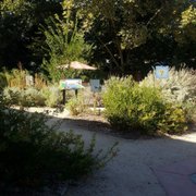 The garden outside