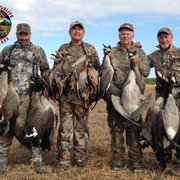 Canada Goose Hunts
