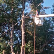 Line clearance work Santa Cruz California
