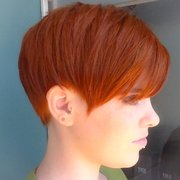 Gallery image #2