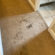 Destroyed hallway carpet