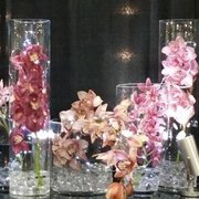 Gallery image #7