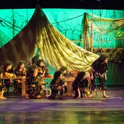 Tarzan the Musical (Spring 2014)