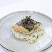Salmon Risotto