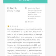 Review left on BuildZoom for J & J Tree Service