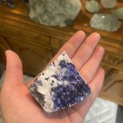 Gallery image #6