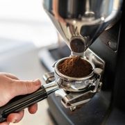 Our Mazzer grinding a fresh batch of Stoble Coffee Roaster's Flagship blend.