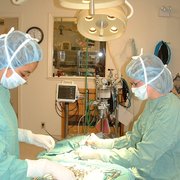 Dr. Susan Evers and surgical assistant Monique.