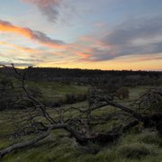 Maidu Loop