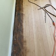 The floors after the initial mastic removal and sanding, part way through the project.