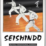 Seishindo Poster Design