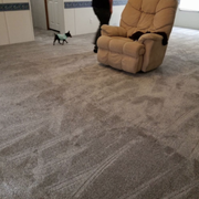 a living room with a cat on the floor