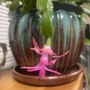 Gallery image #8