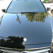 Gallery image #7