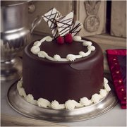 Chocolate Decadence