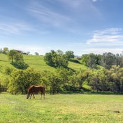 195 Bryden Horse Property