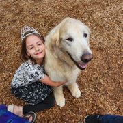 a little girl and her dog