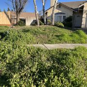 a patch of grass in front of a house