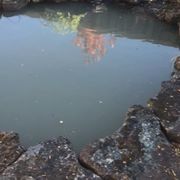 Pond