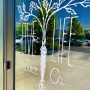 a tree with roots