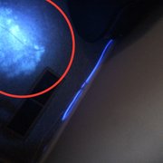 Pet Urine in Carpet