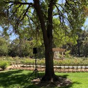 Pretty setting for a wedding.