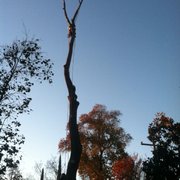 Gallery image #9