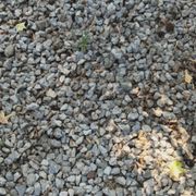 Simple projects went from dirt To Rock around the plum tree