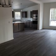 Platinum Model, View into the kitchen. We moved our stovetop onto the back wall.