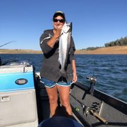 Lake Oroville Salmon