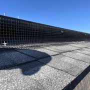 Bird proofing