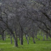 Gallery image #6