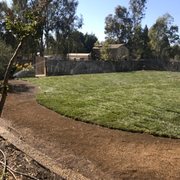 a view of the back yard