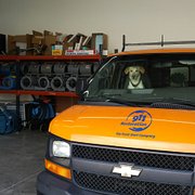 Water Damage Restoration Dog