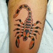 Scorpion